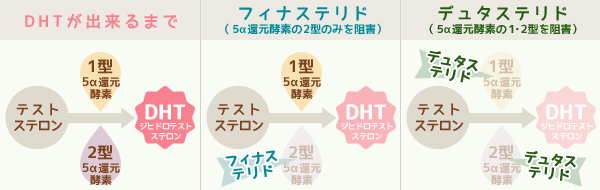 デュタステリドとフィナステリドの違い